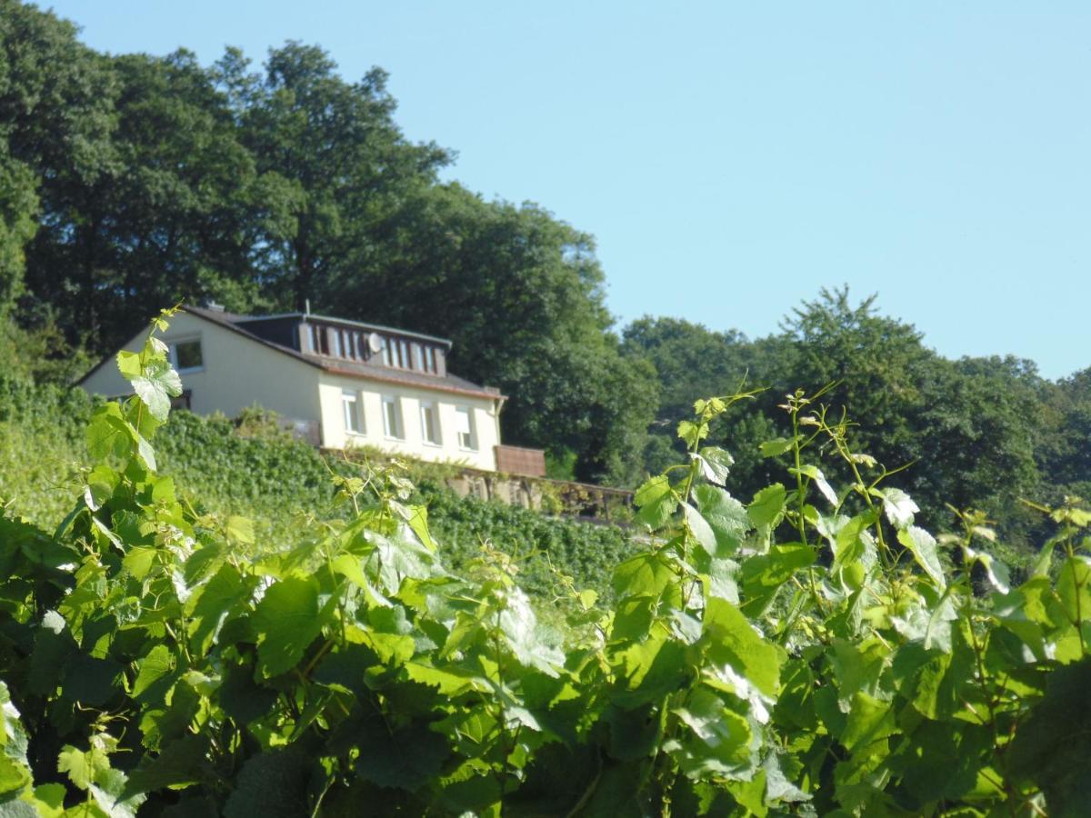 Das Rebenhaus Rüdesheim am Rhein Eksteriør bilde