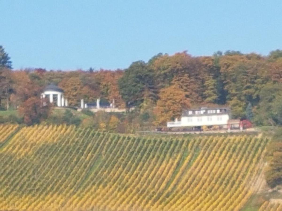 Das Rebenhaus Rüdesheim am Rhein Eksteriør bilde