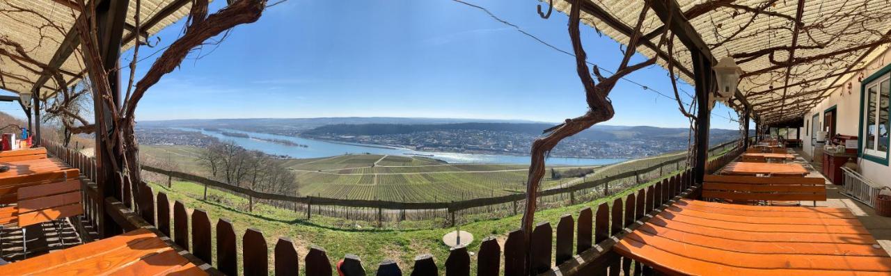 Das Rebenhaus Rüdesheim am Rhein Eksteriør bilde