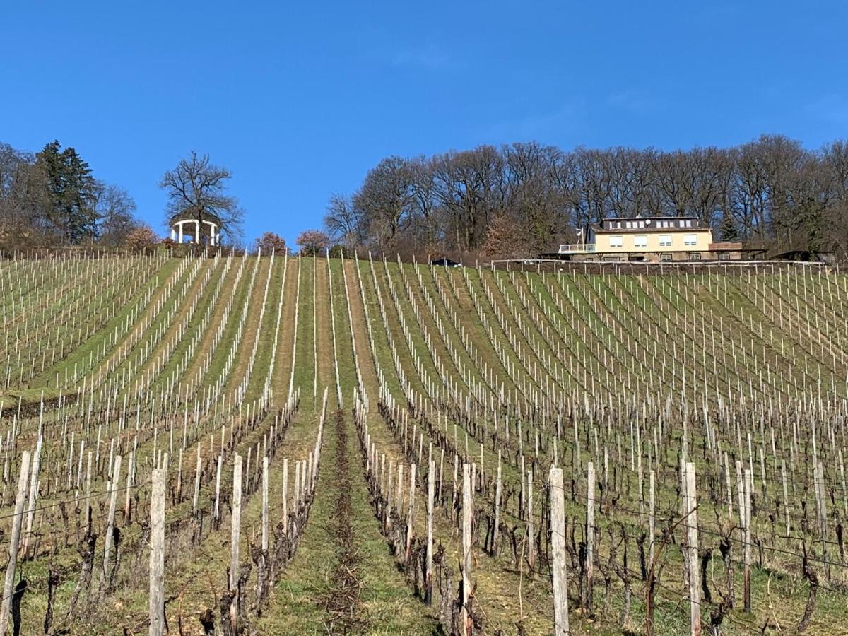 Das Rebenhaus Rüdesheim am Rhein Eksteriør bilde