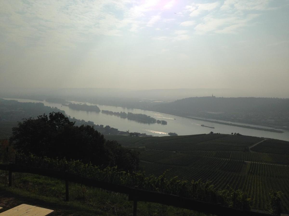 Das Rebenhaus Rüdesheim am Rhein Eksteriør bilde