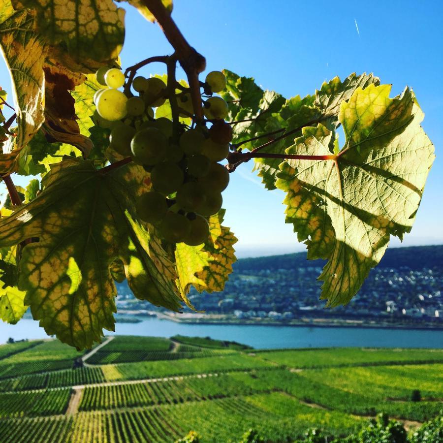 Das Rebenhaus Rüdesheim am Rhein Eksteriør bilde