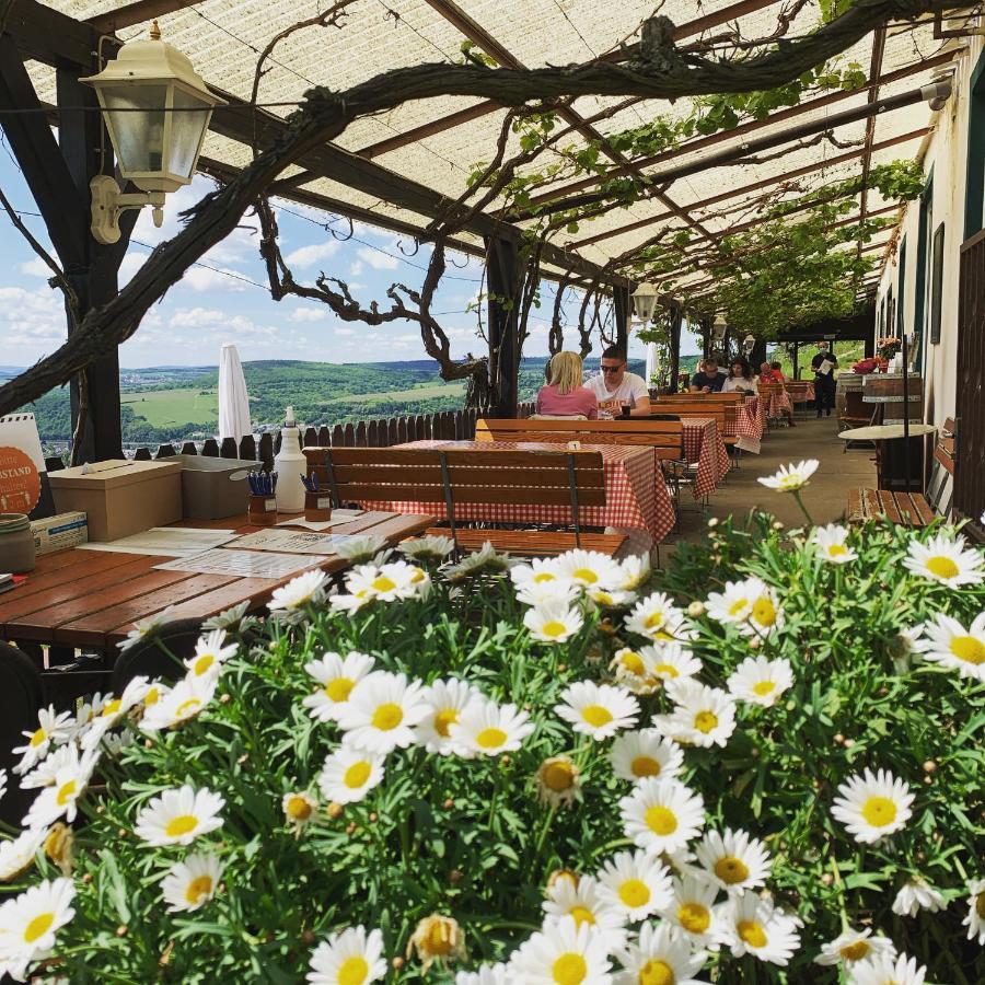 Das Rebenhaus Rüdesheim am Rhein Eksteriør bilde