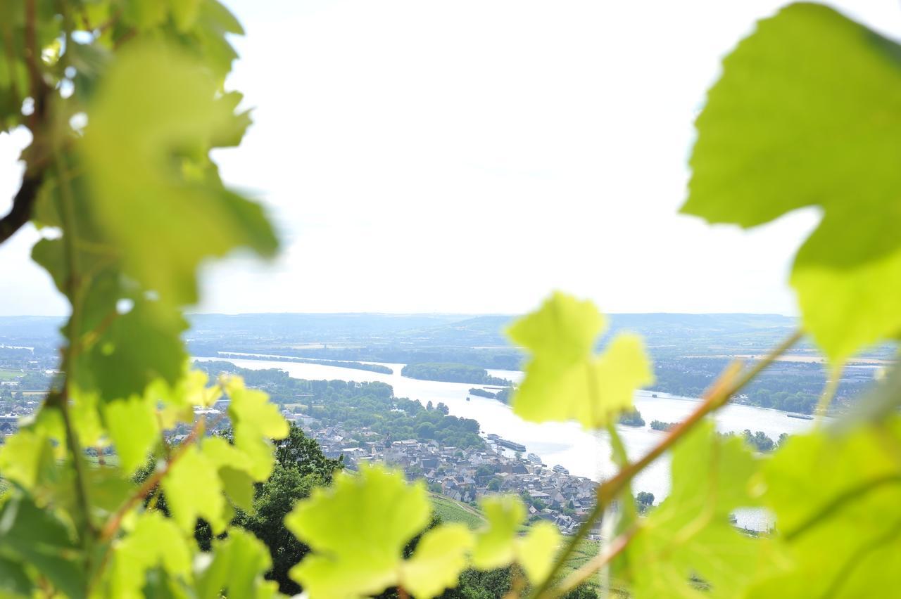 Das Rebenhaus Rüdesheim am Rhein Eksteriør bilde