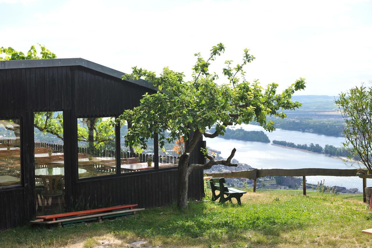 Das Rebenhaus Rüdesheim am Rhein Eksteriør bilde