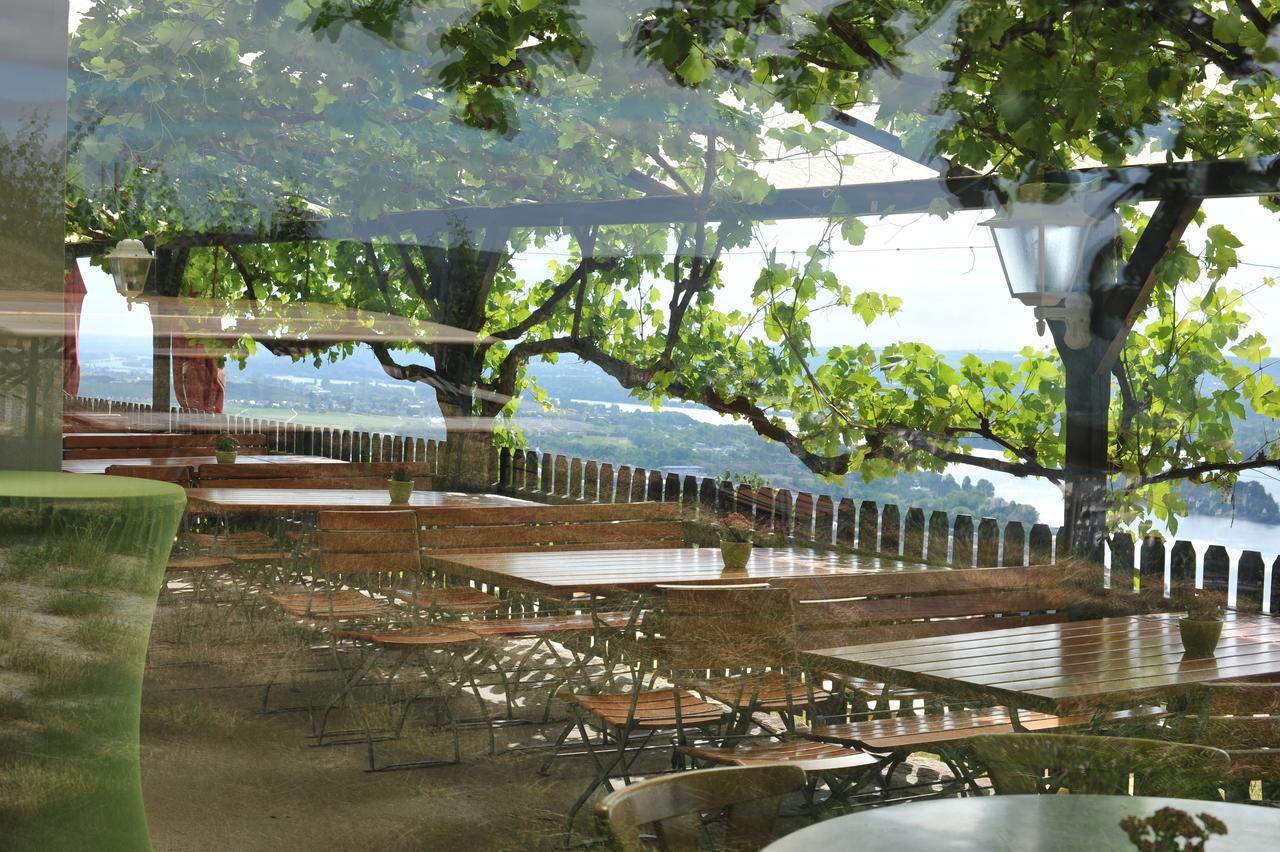 Das Rebenhaus Rüdesheim am Rhein Eksteriør bilde